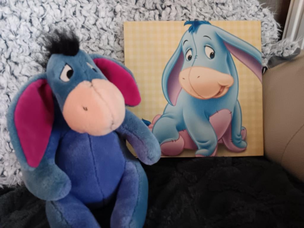 Ijoor knuffel met kadertje, Ophalen of Verzenden, Gebruikt, Overige typen