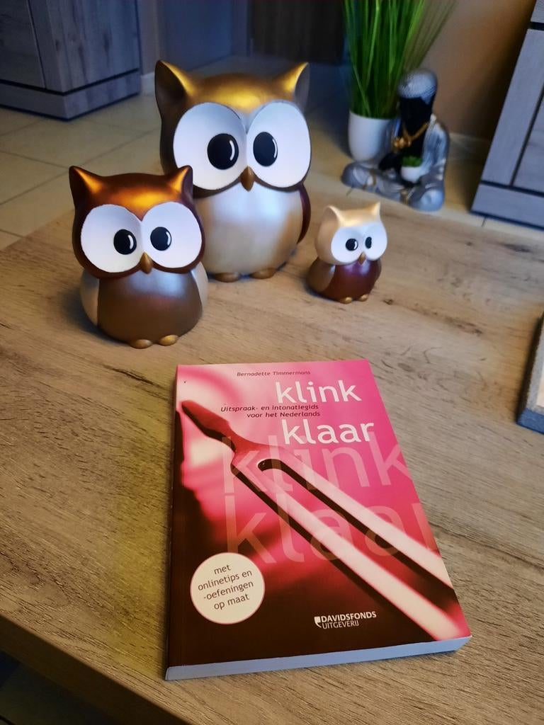 Bernadette Timmermans - Klink klaar, Enlèvement ou Envoi, Comme neuf, Bernadette Timmermans