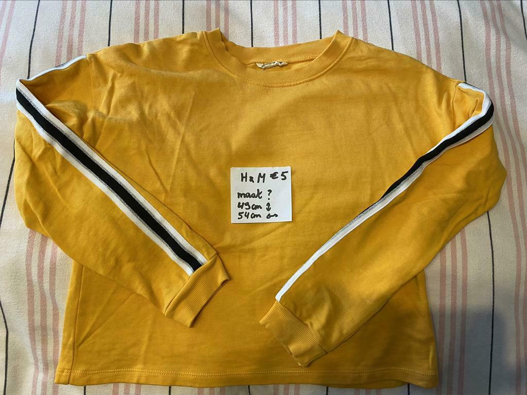Trui, Kinderen en Baby's, Kinderkleding | Maat 164, Ophalen, H&M