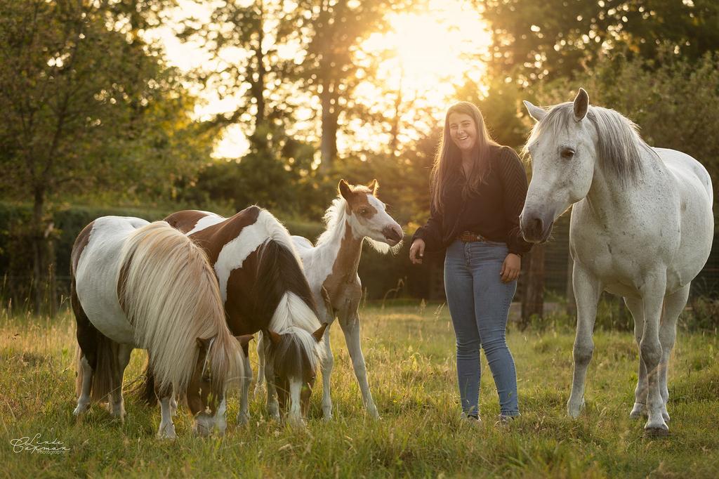 Weide gezocht, Weidegang, 4 paarden of pony's of meer