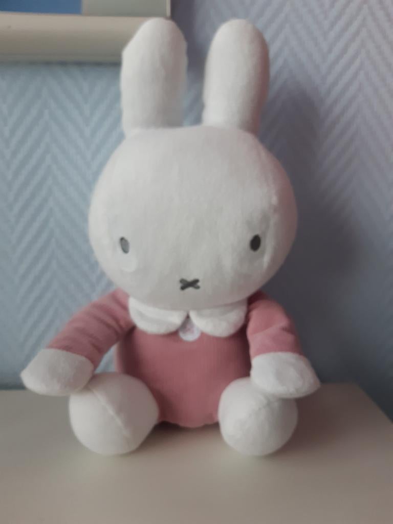 Mooie knuffel Nijntje, Enlèvement