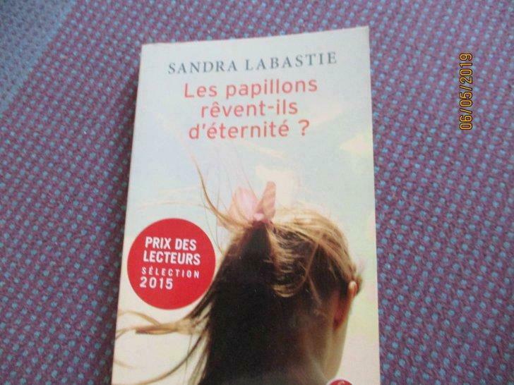 livre "les papillons rêvent-ils d'eternite ?" s. labastie., Livres, Enlèvement ou Envoi, Neuf