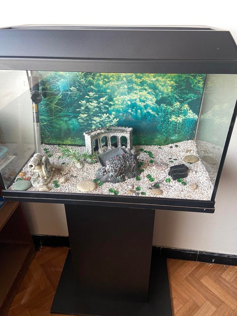 Aquarium, Enlèvement, Comme neuf
