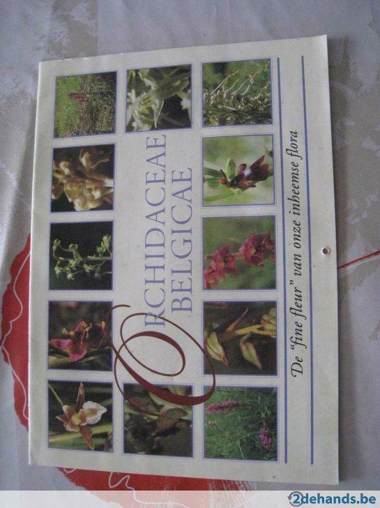 Calendrier des orchidées 1993 / gratuit, Envoi, Comme neuf