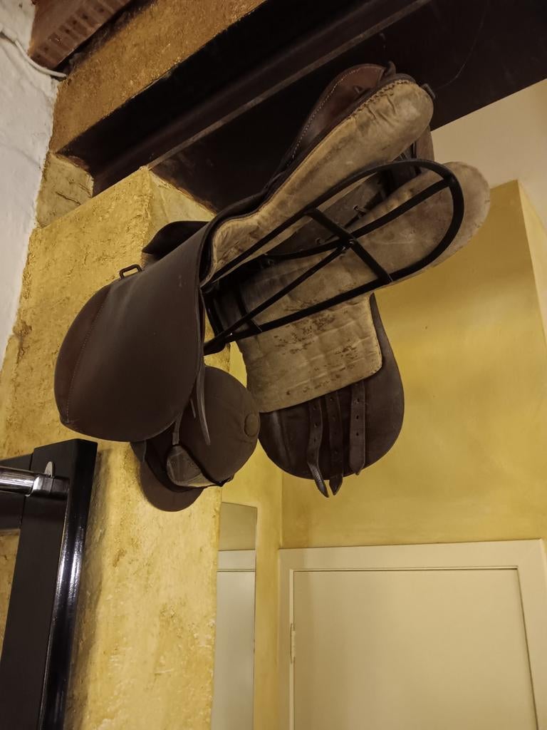 Decoratief rijzadel, Antiek en Kunst, Ophalen