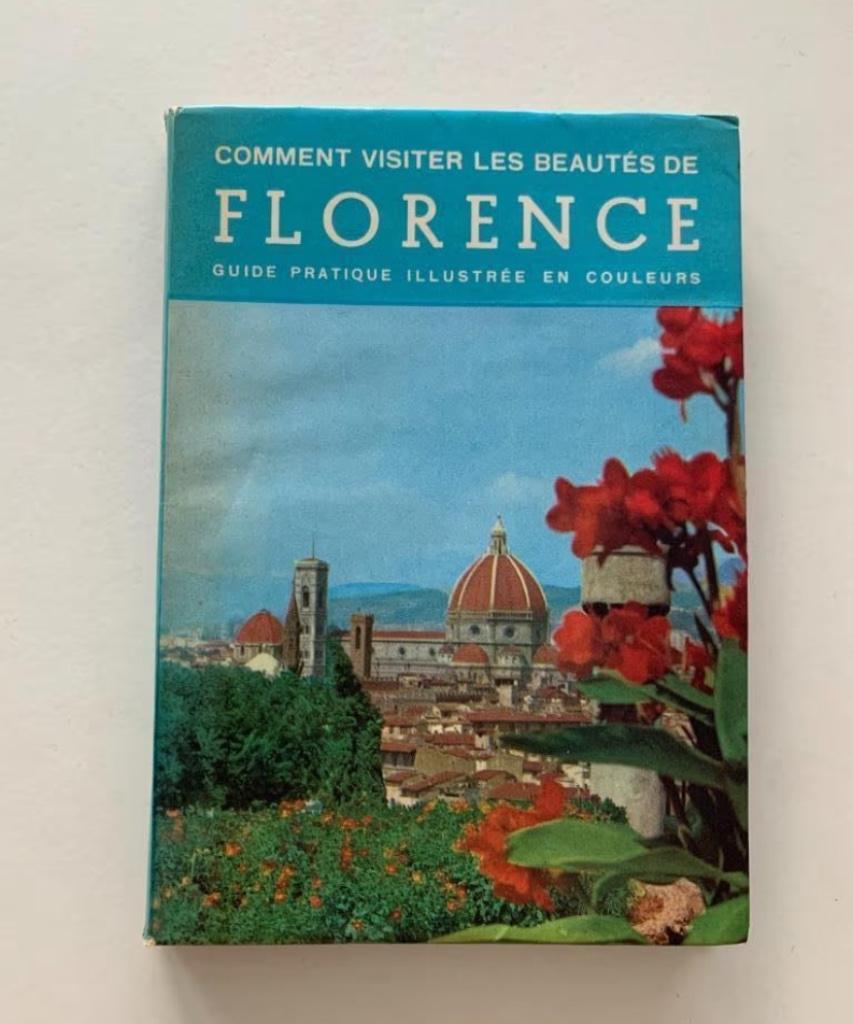 Comment visiter les beautés de Florence, Guide pratique illu, Boeken, Reisgidsen, Ophalen of Verzenden, Gelezen, Europa, Reisgids of -boek