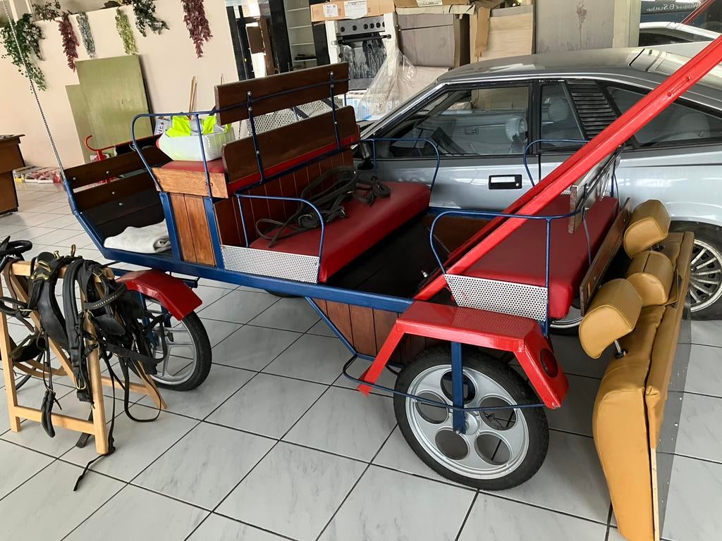PONY of PAARD RIJTUIG, Dieren en Toebehoren, Gebruikt, Wagonette, Paard of Pony