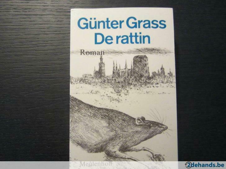 De rattin ( Günter Grass ), Livres, Langue | Anglais, Utilisé, Enlèvement ou Envoi