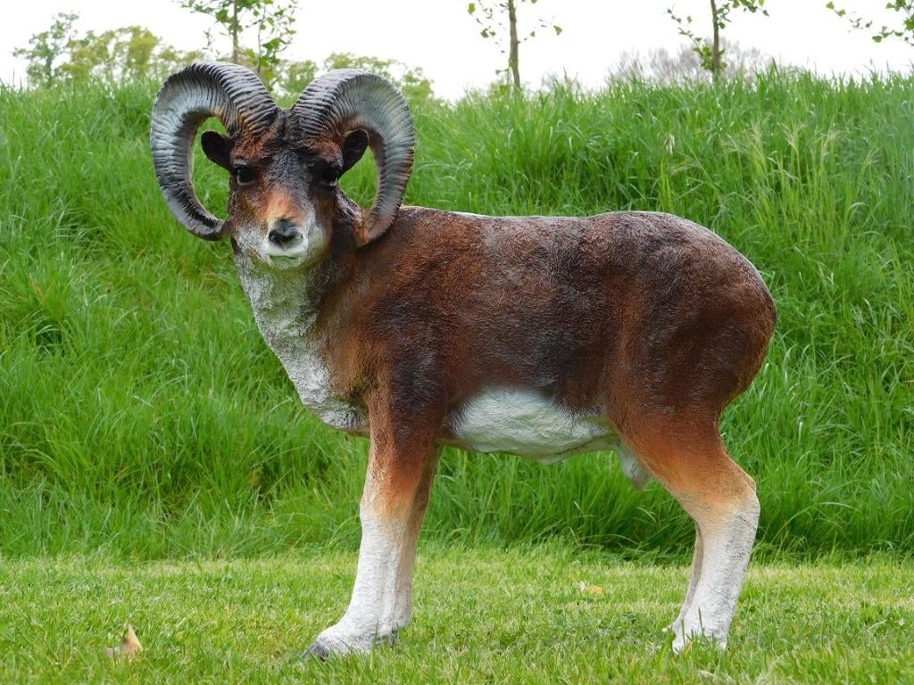 Beeld Ram - 65 cm - Polystone, Ophalen of Verzenden, Kunststof, Dierenbeeld