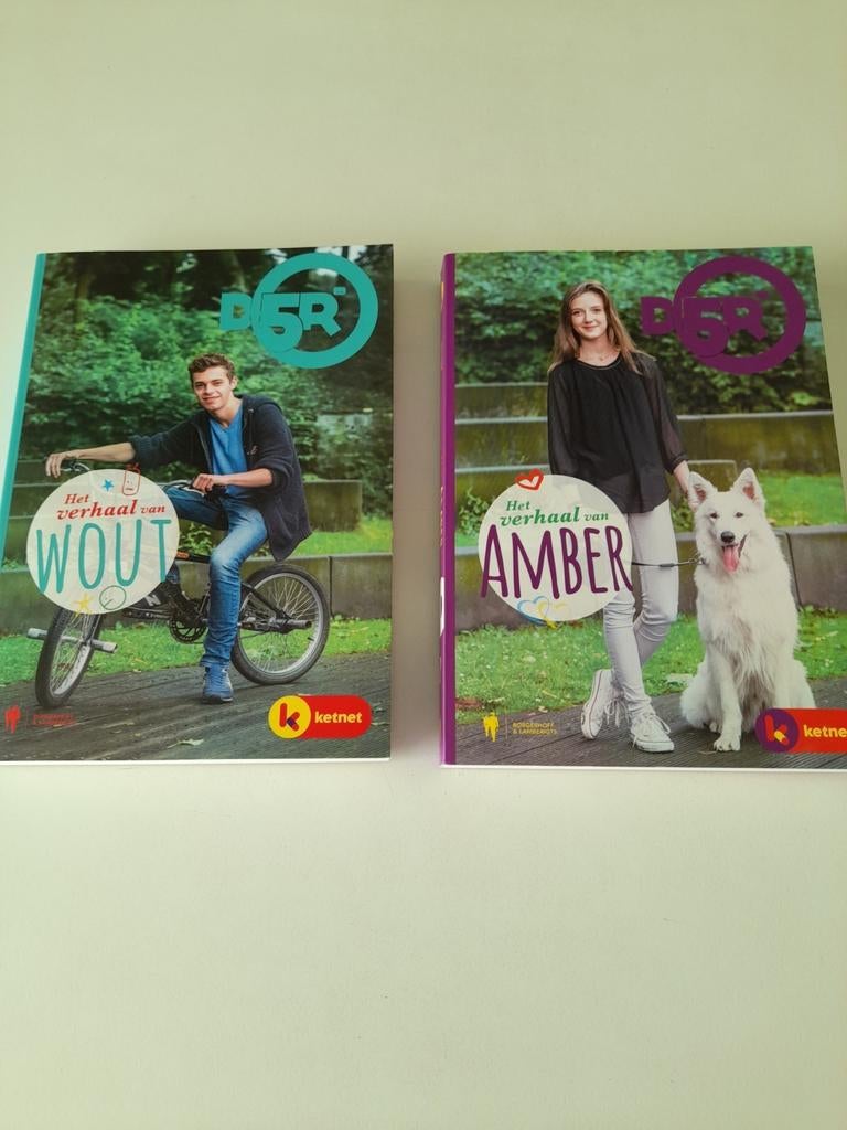D5R verhaal van Wout en Amber, Boeken, Ophalen, Zo goed als nieuw
