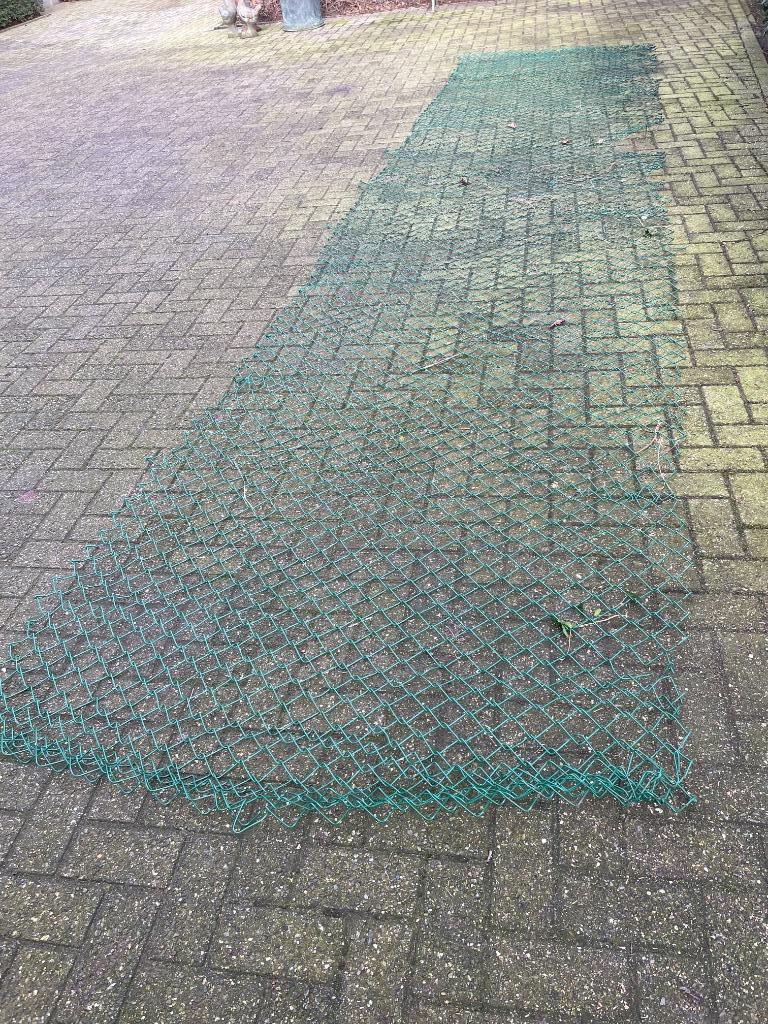 harmonikadraad, Dieren en Toebehoren, Vogels | Duiven