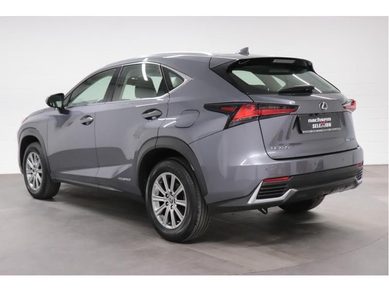 Lexus NX 300H Business Edition Plus Lexus NX300h Business Ed, Auto's, 114 kW, 155 pk, 5 deurs, Hybride Elektrisch/Benzine