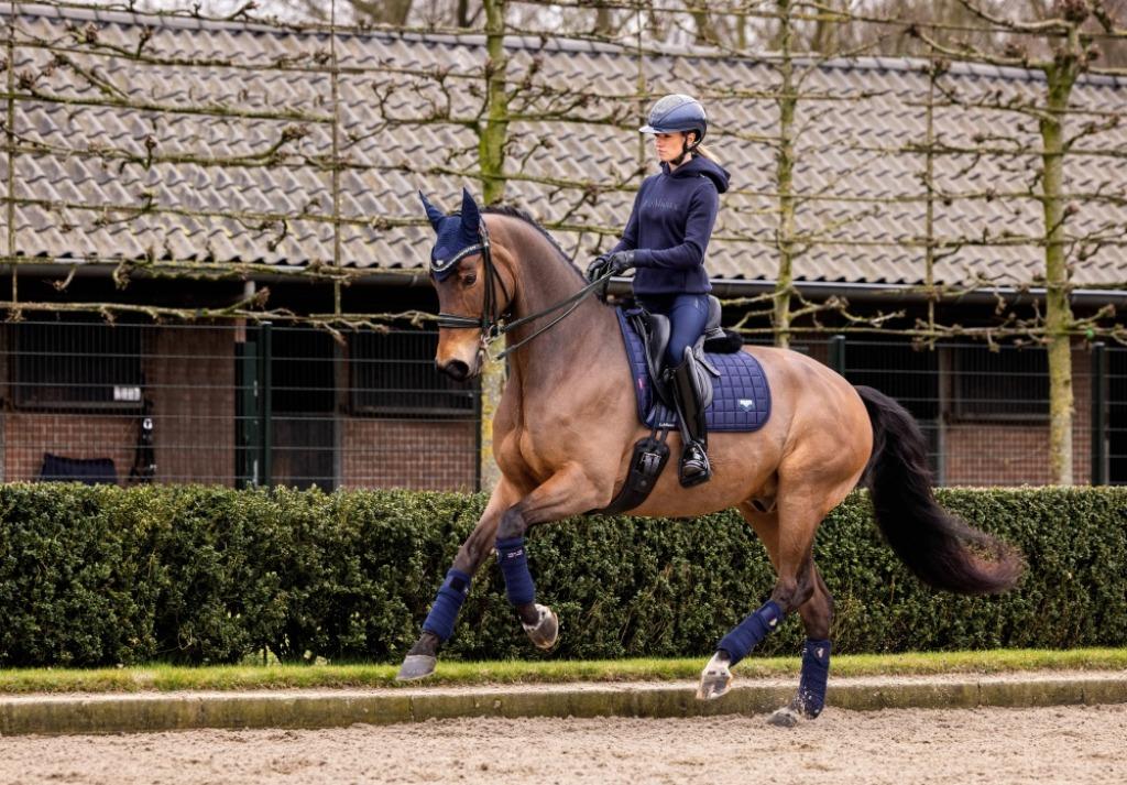 LeMieux Loire Navy dressuur dekje GRATIS VERZENDING, Enlèvement ou Envoi, Neuf