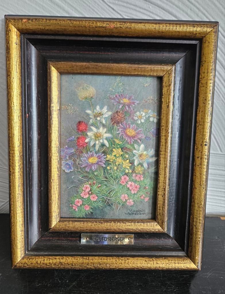 Schilderij Edelweiss, Ophalen of Verzenden