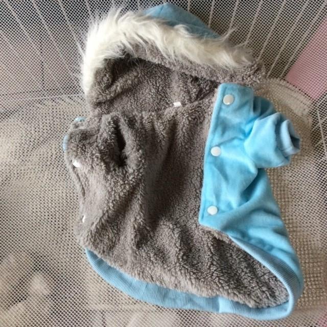 Honden jasje voor Chihuahua NIEUW, Ophalen, Nieuw
