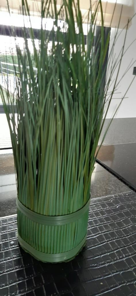 Siergras 35 cm hoog deco, Ophalen, Gebruikt