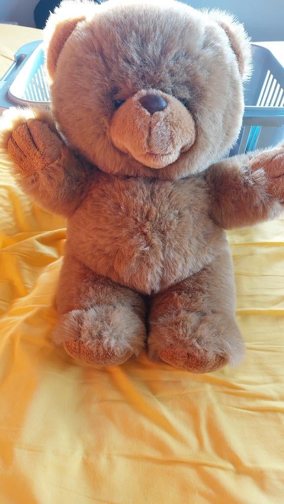 Teddybeer groot 40cm, Kinderen en Baby's, Ophalen of Verzenden, Zo goed als nieuw, Beer