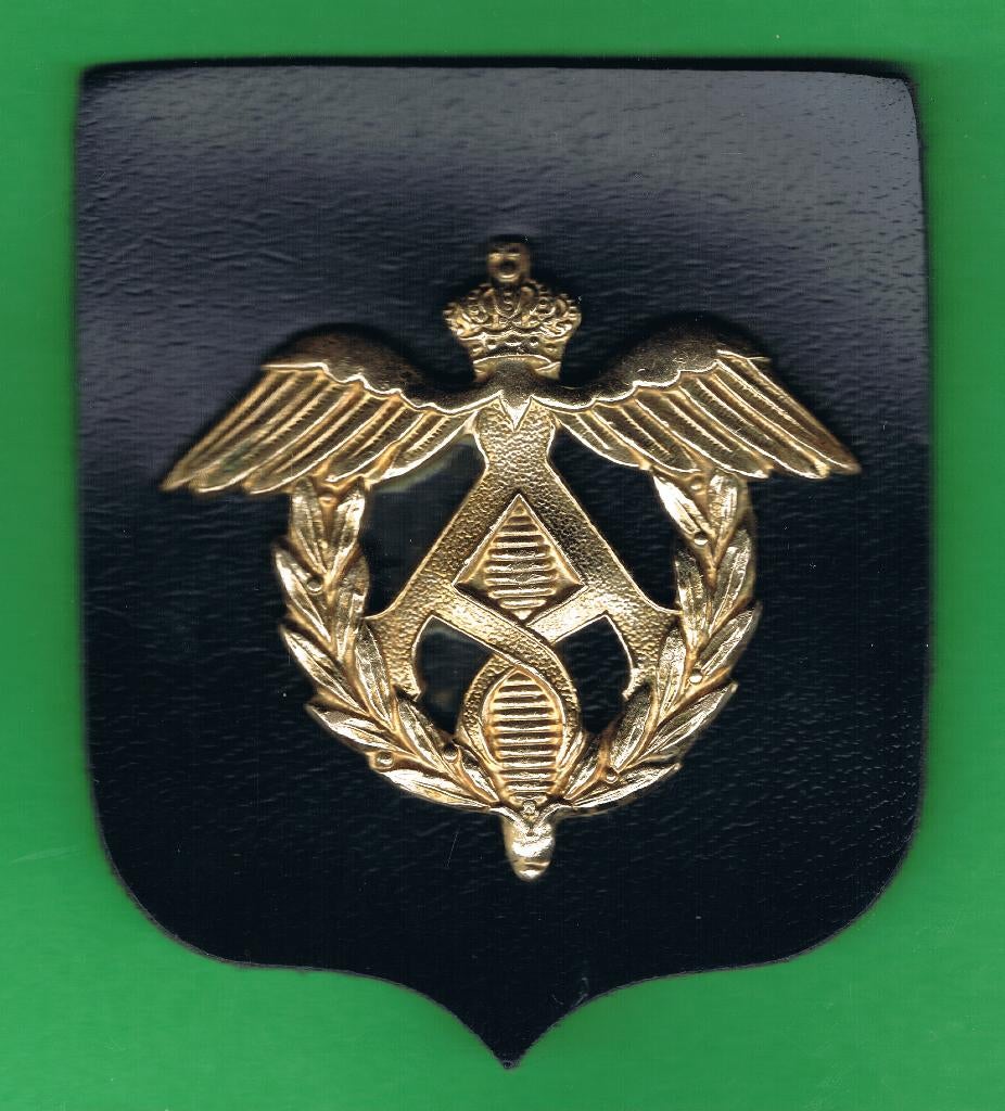 Belgian Army Mutskenteken ( LMM6 ), Verzamelen, Ophalen of Verzenden, Landmacht, Embleem of Badge