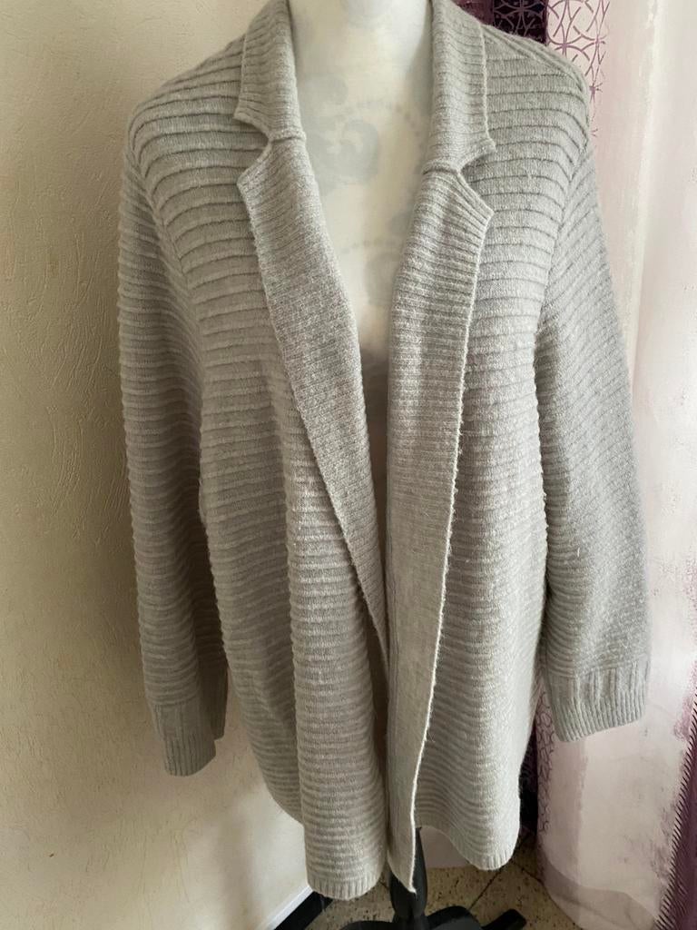 Vest vest '— Maat 4XL maat + small, Ophalen of Verzenden, Grijs