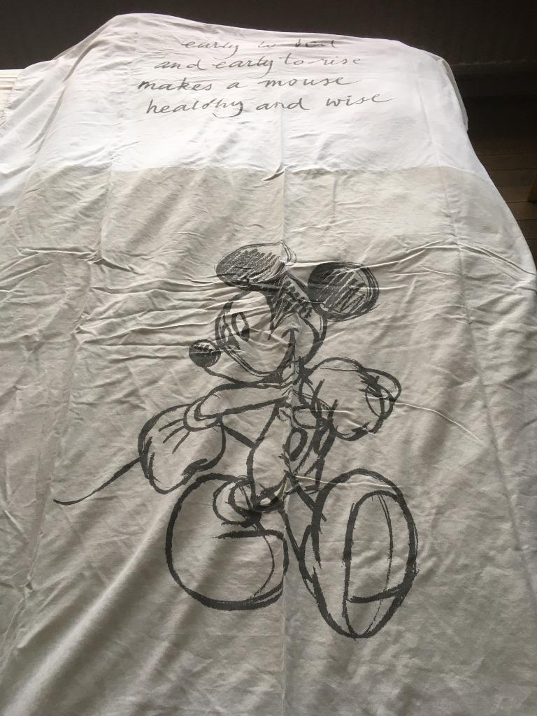 donsovertrek Disney, Jongetje of Meisje, Beige, Dekbedovertrek, Ophalen of Verzenden