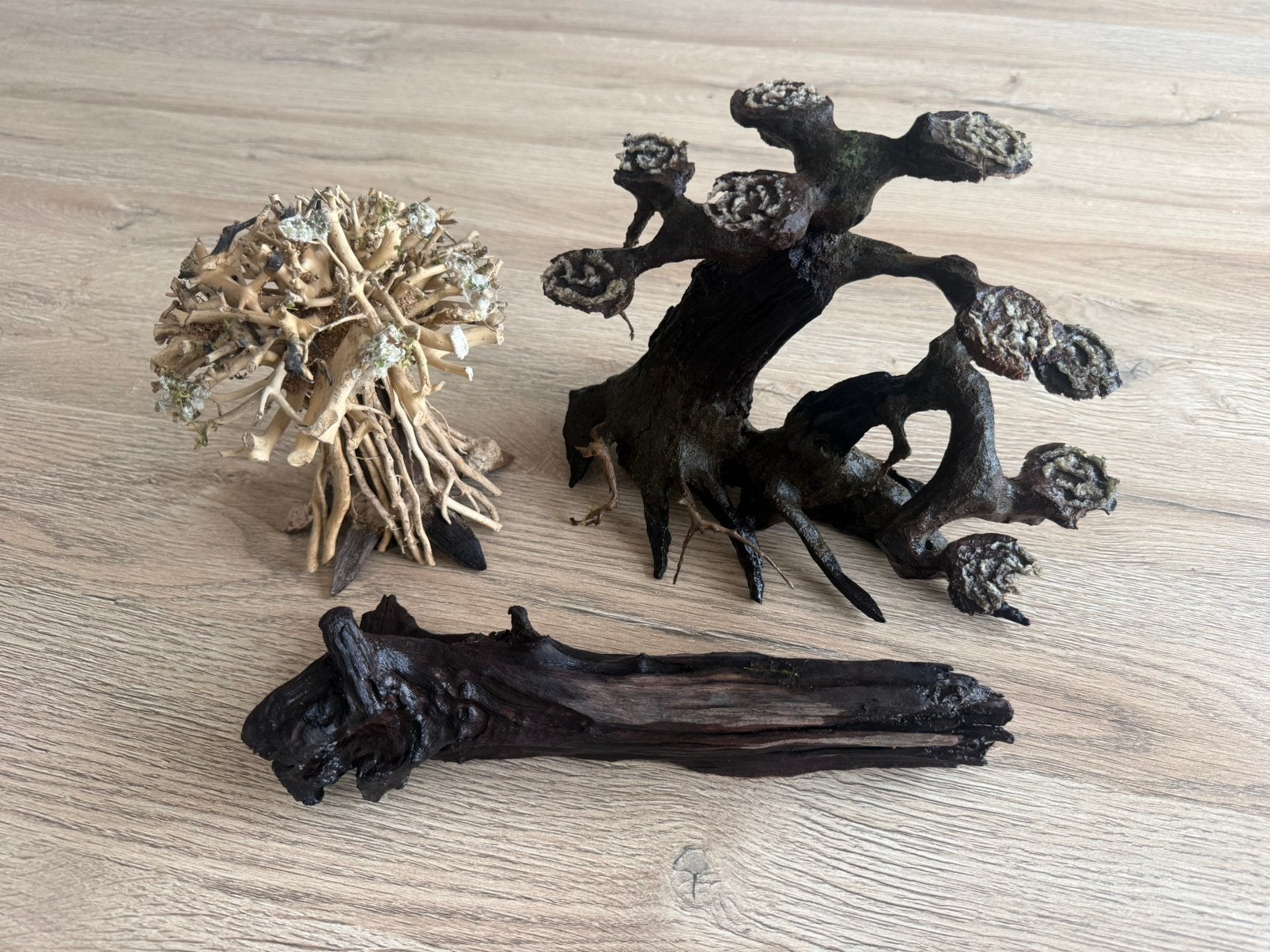 Landscape boompjes en stam, Dieren en Toebehoren, Ophalen, Gebruikt, Plant(en), Steen of Hout