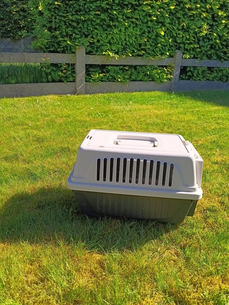 Huisdieren reiskooi, Ophalen