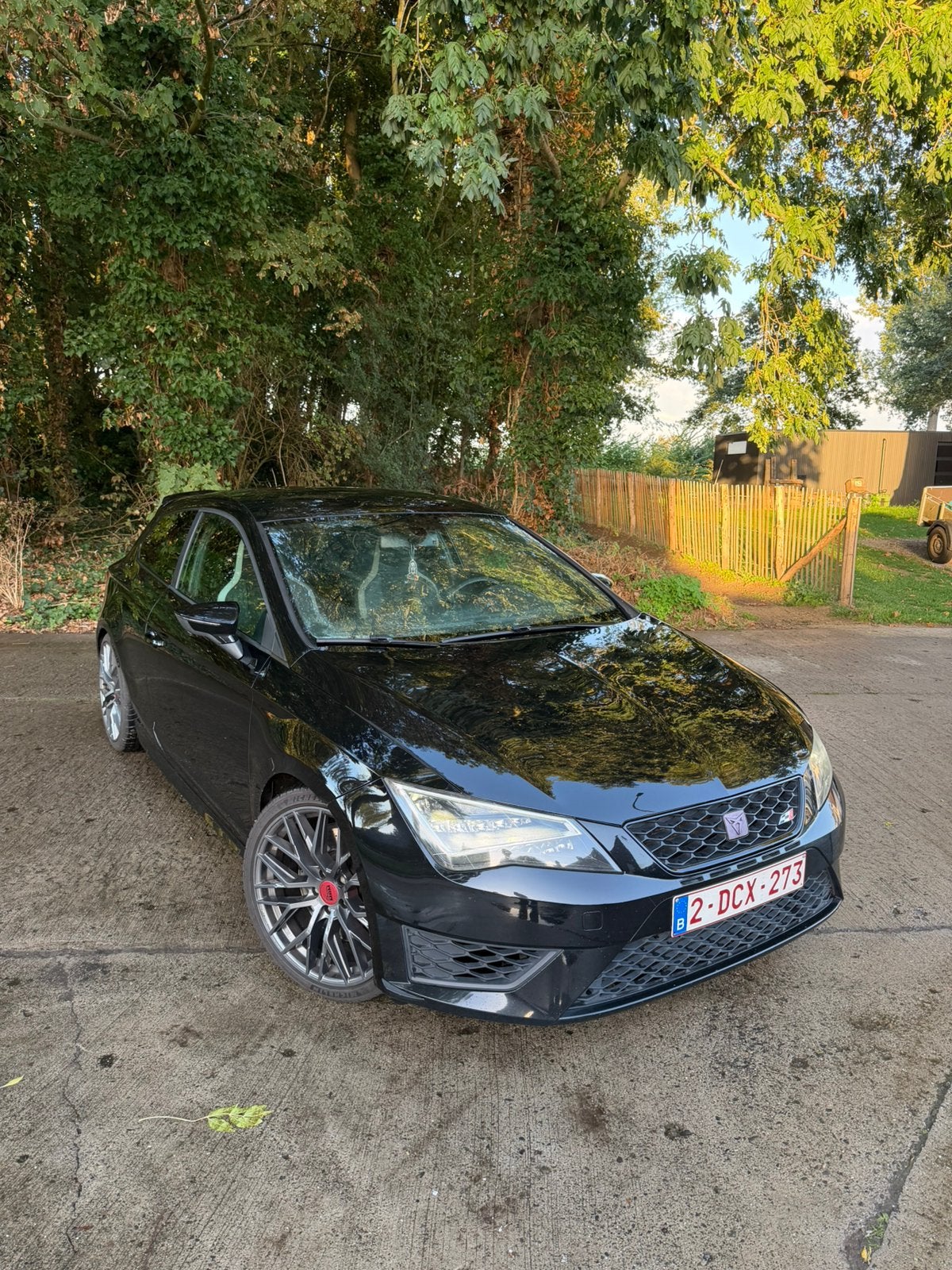 SC 2.0 TSI Start&Stop DSG Cupra 280 en parfait état !, Autos, Cuir et Alcantara, Achat, Euro 6, Leon