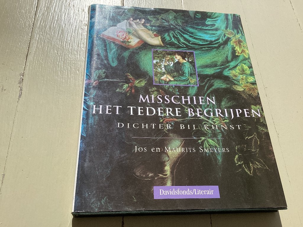 Misschien het tedere begrijpen. Jos en Maurits Smeyers, Boeken, Ophalen of Verzenden, Zo goed als nieuw, Schilder- en Tekenkunst