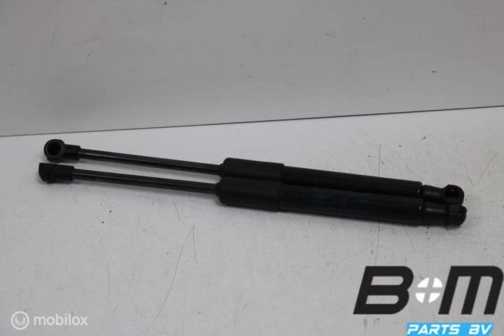 Set gasdrukveren voor motorkap Audi A1 8X 8X0823359, Gebruikt