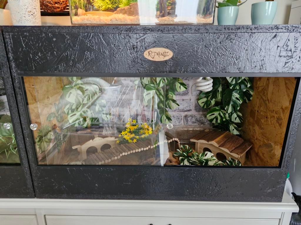 OSB terrarium in zwart 80x40x50, Enlèvement