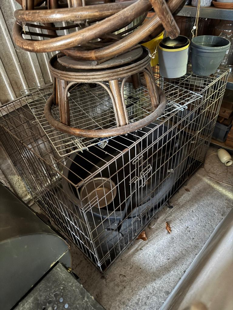 Bench hond, Dieren en Toebehoren, Ophalen, Gebruikt