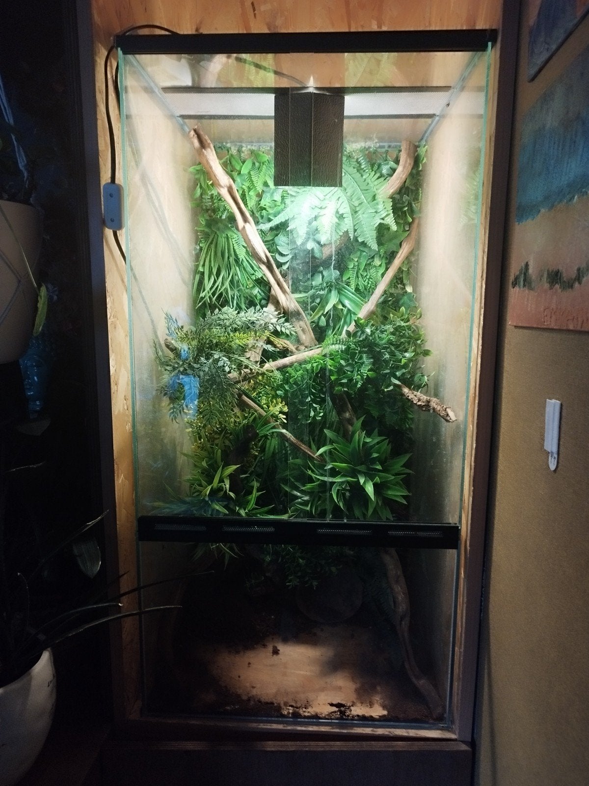 terrarium, Animaux & Accessoires, Enlèvement