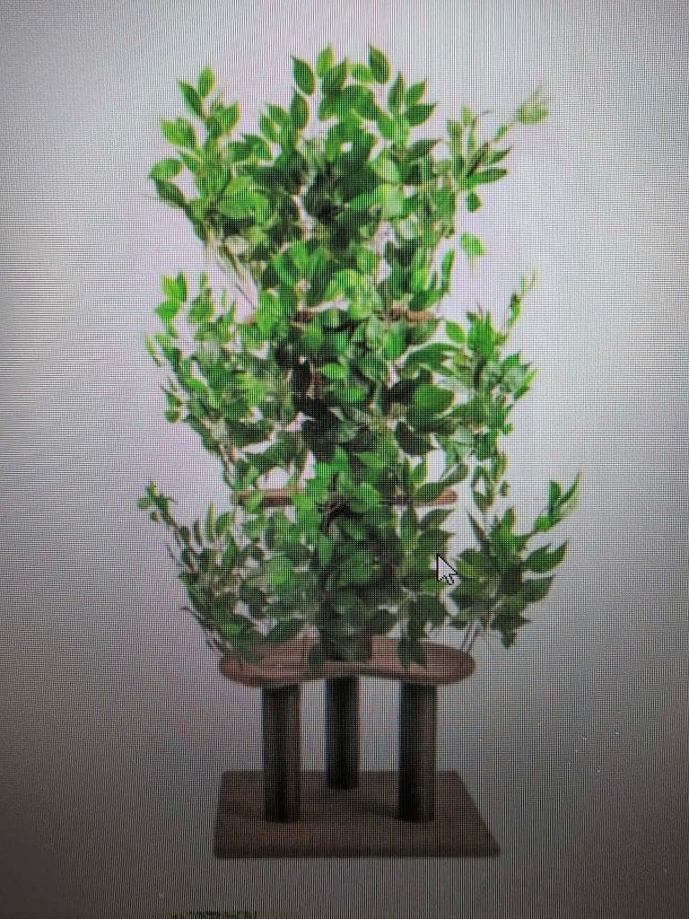 Krabpaal 165x60x60, Dieren en Toebehoren, Krabmeubelen, Ophalen, Nieuw, Krabpaal