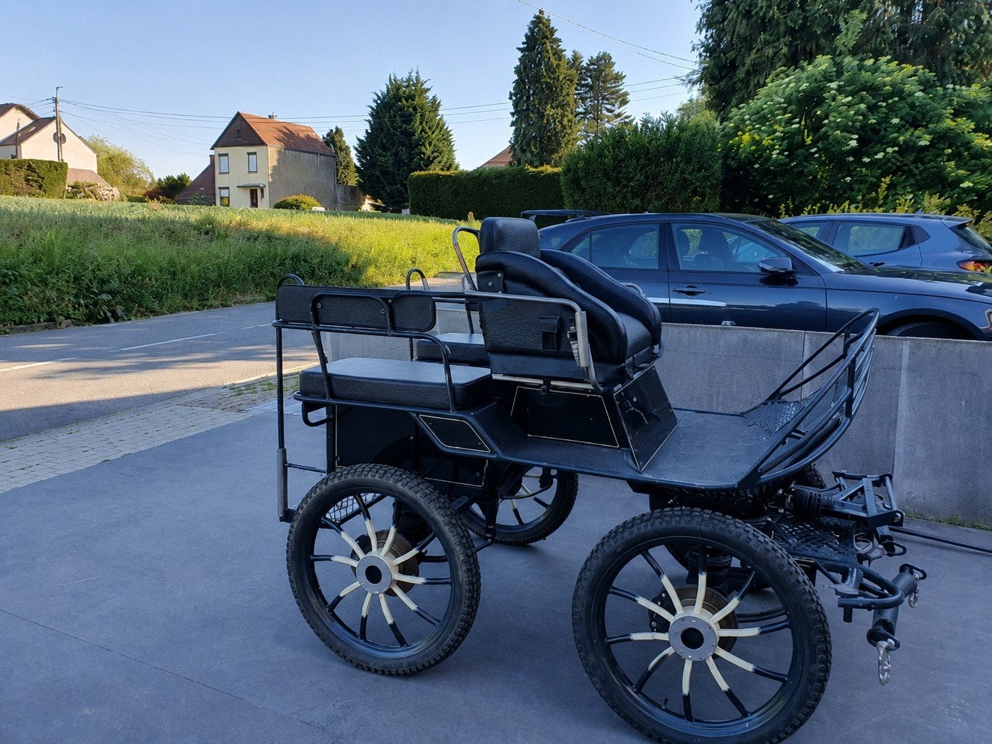 Calèche voiture hippomobile, Enlèvement ou Envoi
