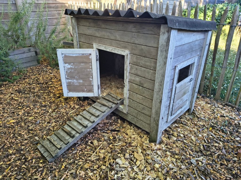 Stevig houten kippenhok (incl. ladder en voederbakje), Ophalen, Gebruikt, Kippenhok of Kippenren