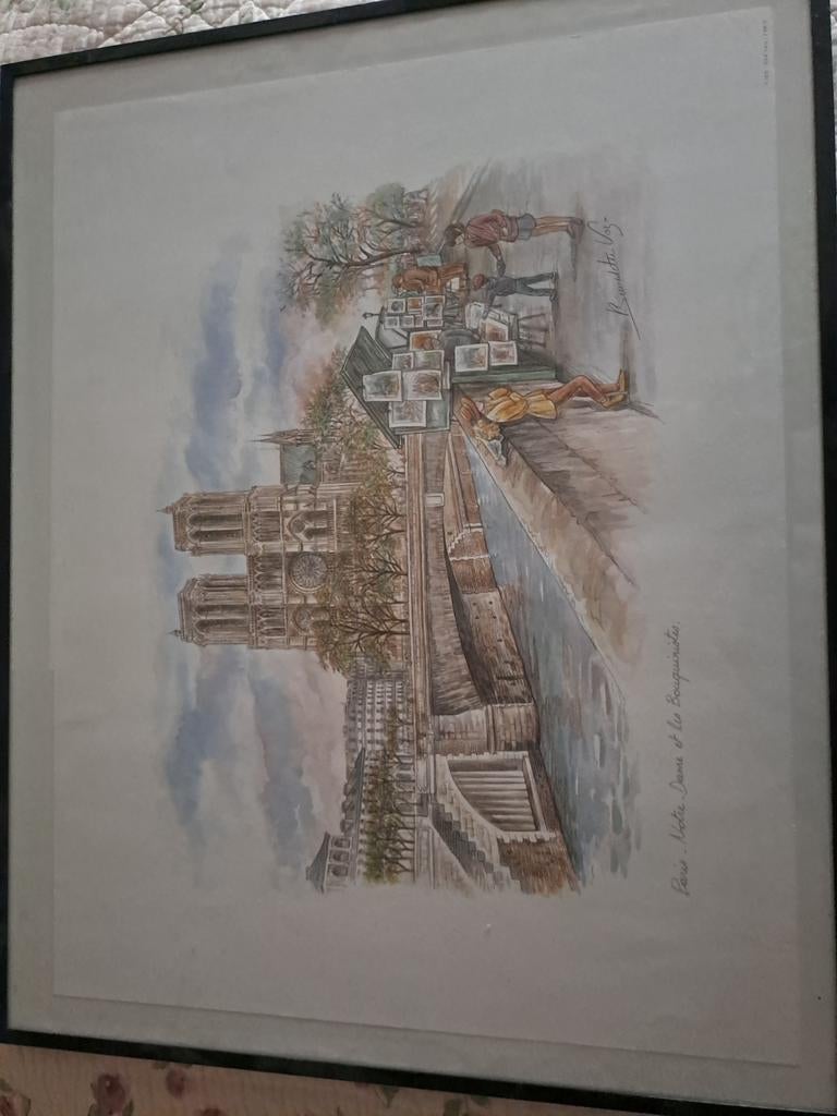 Notre dame in Parijs, Ophalen