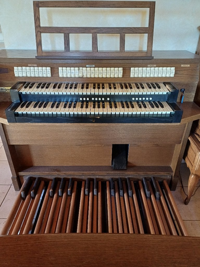 Oud elektrisch kerkorgel Eminent omegan 8100., Muziek en Instrumenten, Orgels, Ophalen, Gebruikt, 2 klavieren, Overige typen