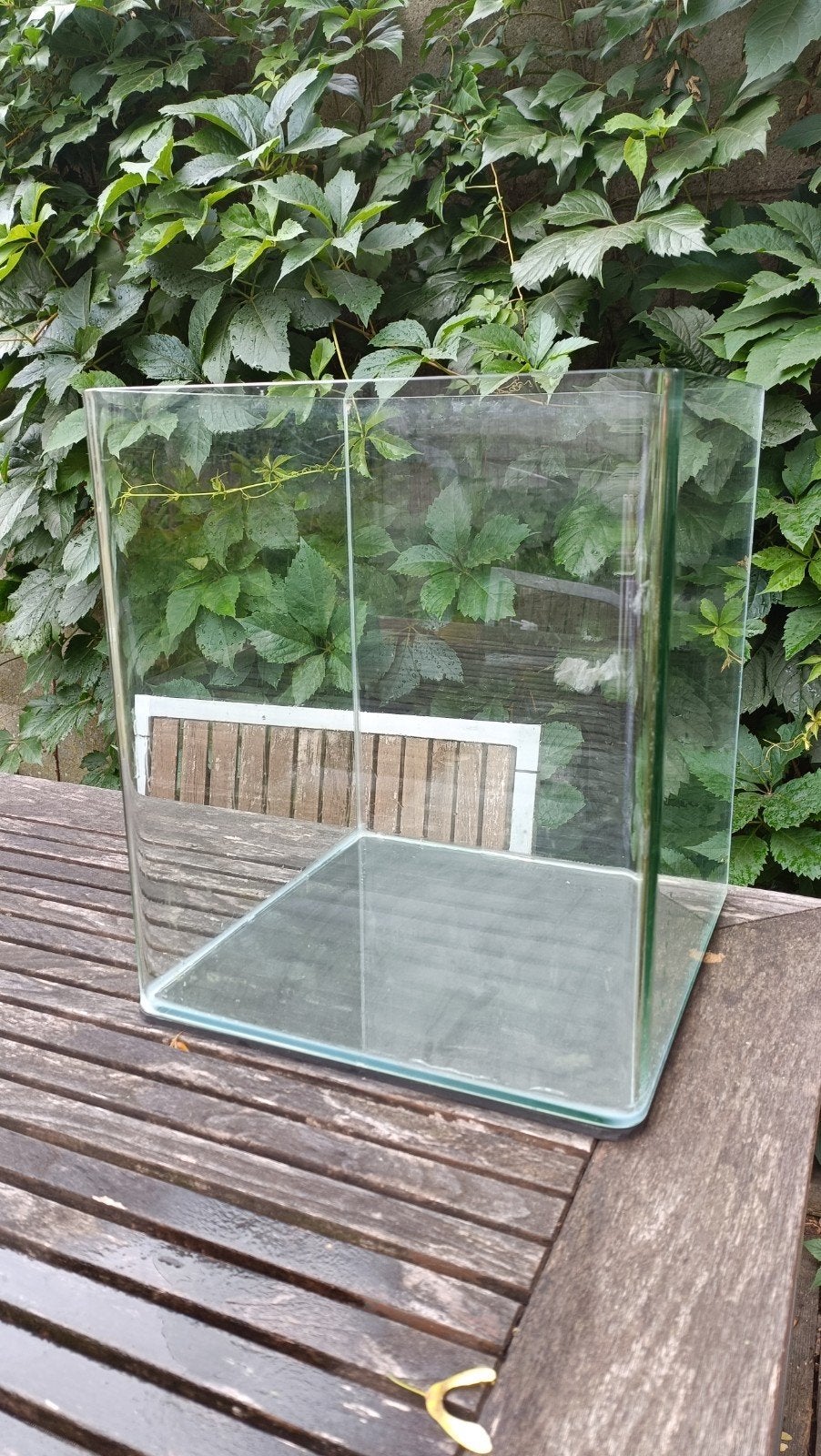 Aquarium 30l + enkele benodigdheden, Dieren en Toebehoren, Overige merken, Zo goed als nieuw, Leeg aquarium, Ophalen