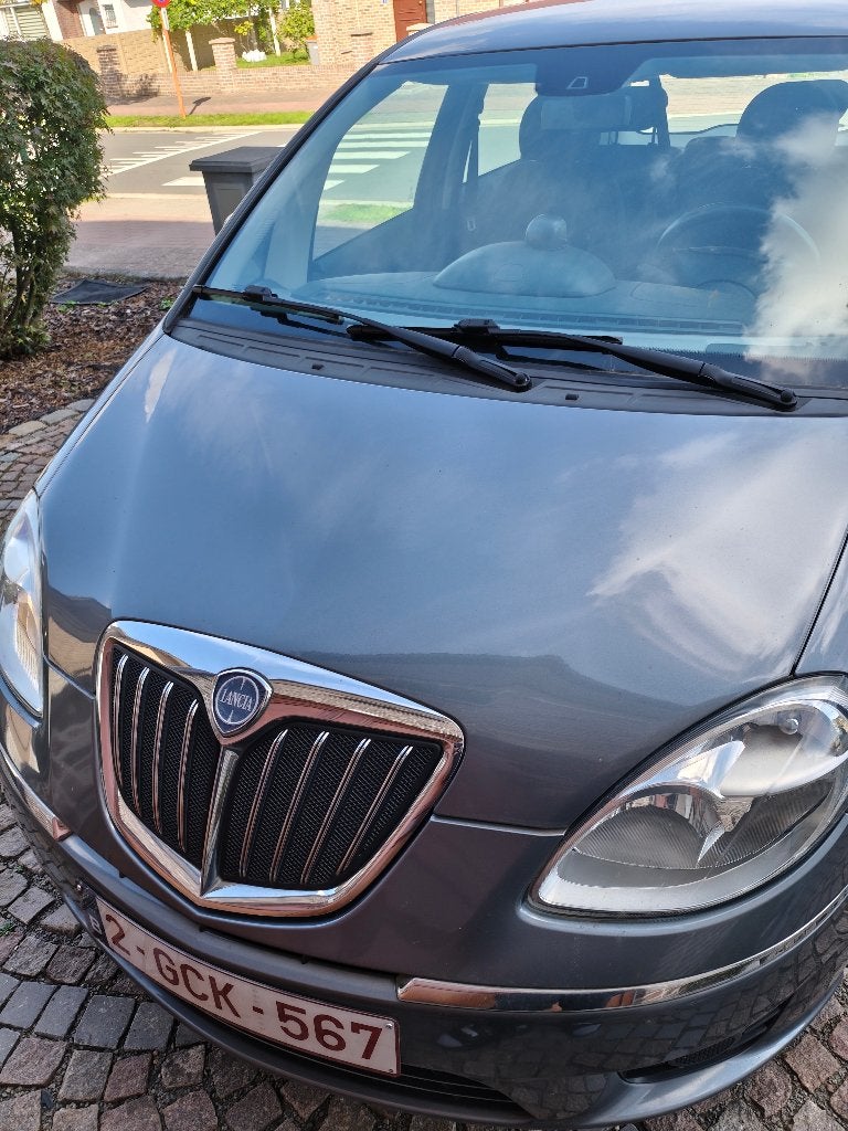 Lancia Musa, Auto's, 5 deurs, Particulier, Euro 4, Musa