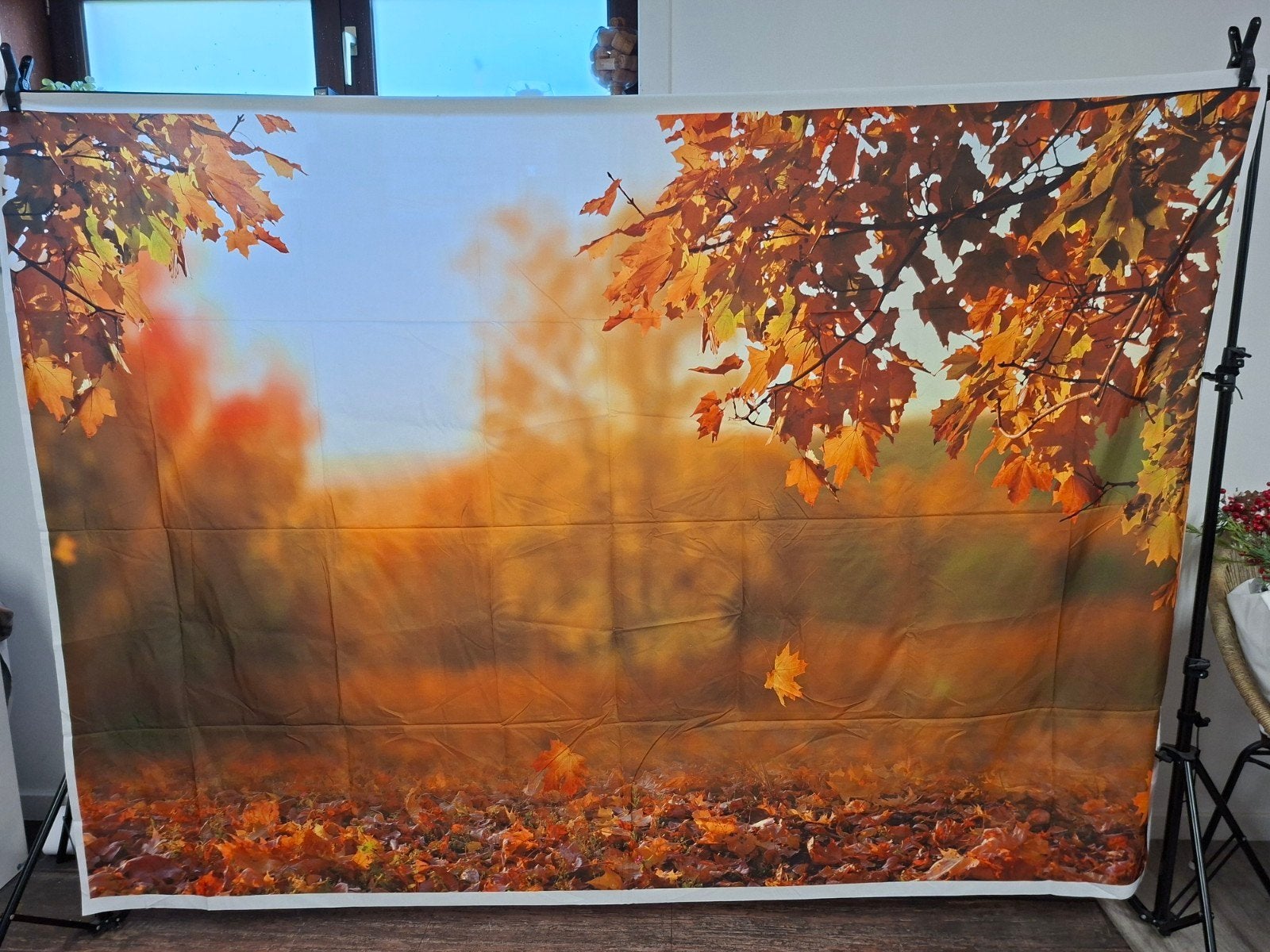 Achtergrond fotografie herfst, Enlèvement, Comme neuf, Arrière-plan