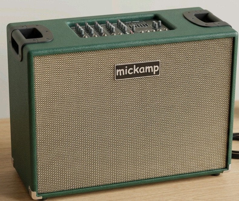 Zeldzame Stereo Combo Versterker Buitenkansje, Musique & Instruments, Amplis | Basse & Guitare, Enlèvement, Utilisé, 100 watts ou plus