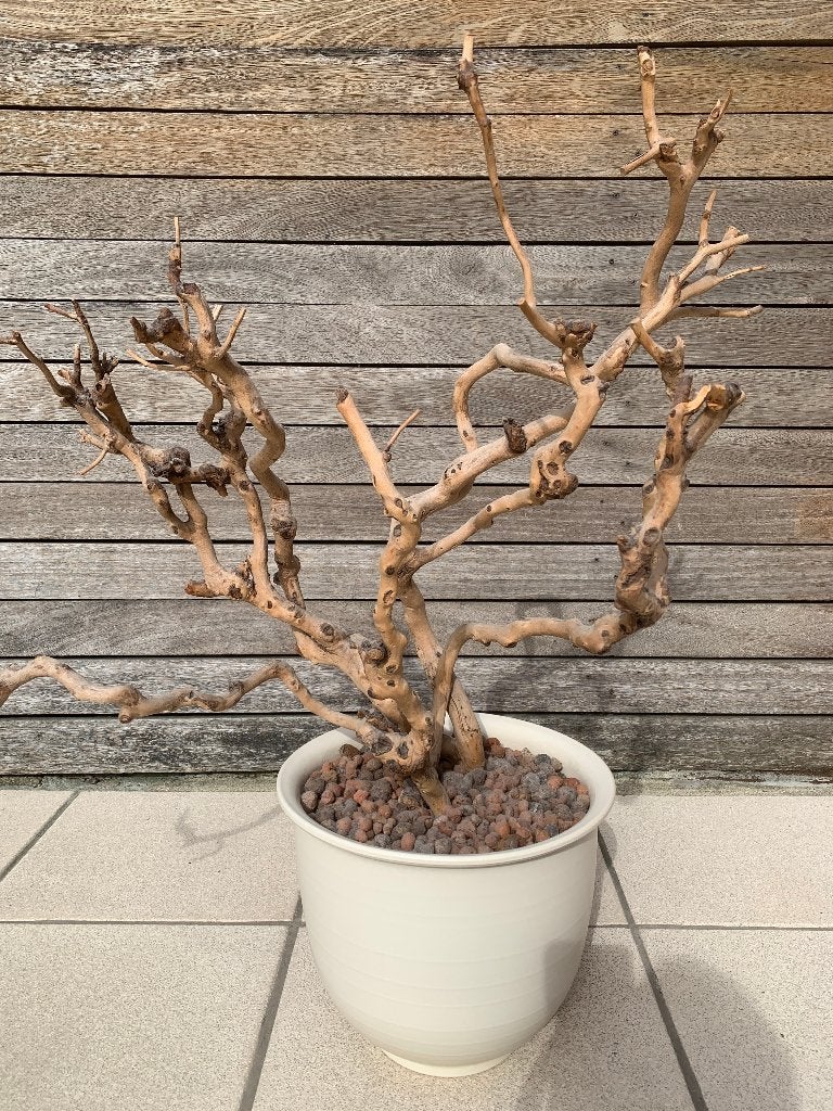 Decoratie, Tuin en Terras, Tuinwanddecoratie, Zo goed als nieuw, Ophalen