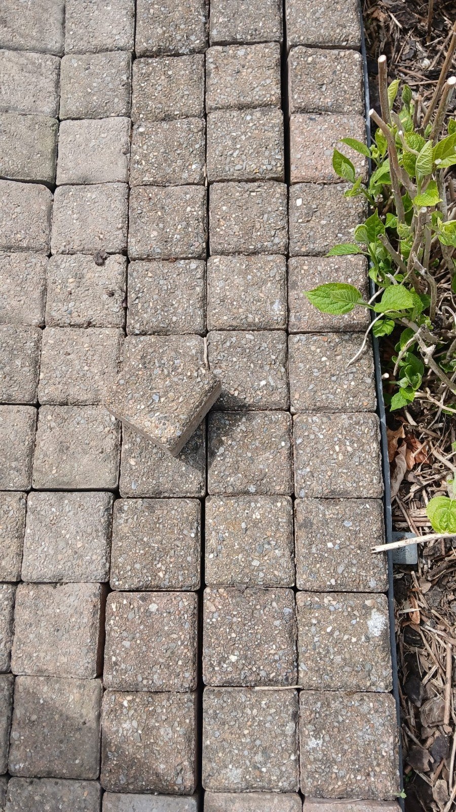 Pavés klinkers béton tembourinés 11x11x6, Jardin & Terrasse, Pavé & Dalles, Enlèvement, Utilisé, 5 à 10 m², Autres types