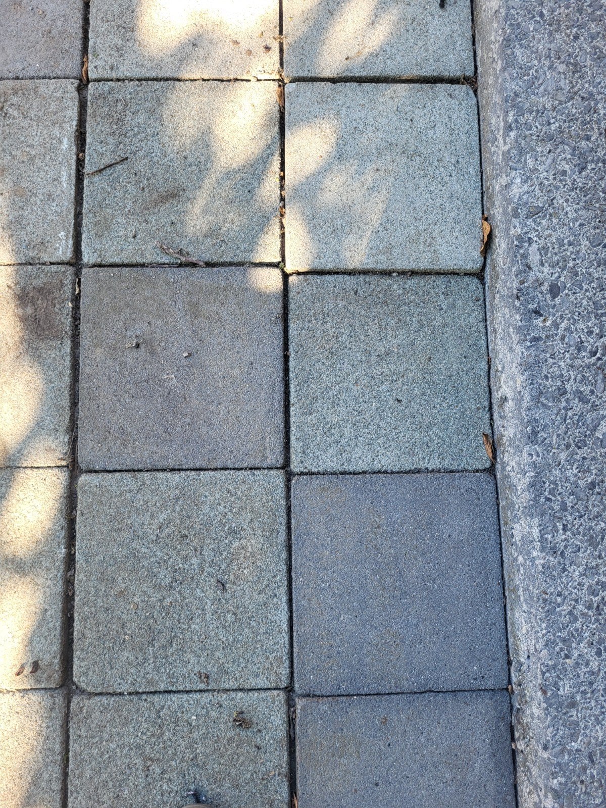 Betondallen 30cm x 30cm (90 a 100 stuks) 9m²

Afhalen in De, Ophalen