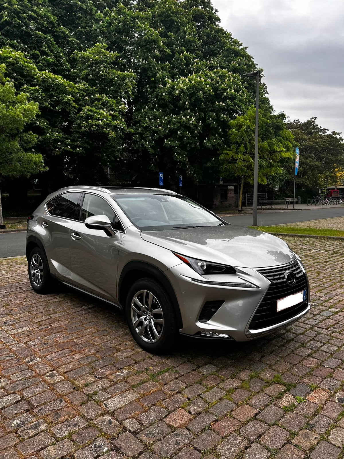 LEXUS NX300h Exclusive Business Line - Panoramisch dak, Auto's, Automaat, 114 kW, 0 kg, Leder