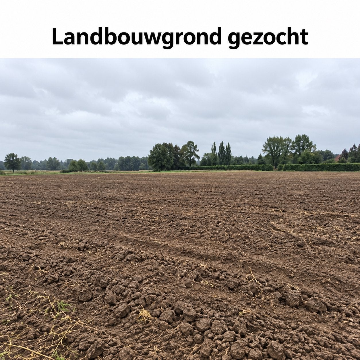 Landbouwgrond gezocht – kopen of huren – regio Oostmalle, Animaux & Accessoires