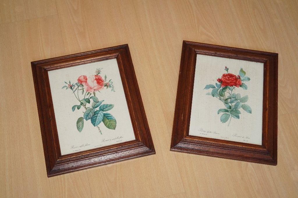 Set van 2 ingelijste botanische rozenprenten – P.J. Redouté, Ophalen of Verzenden, Glas