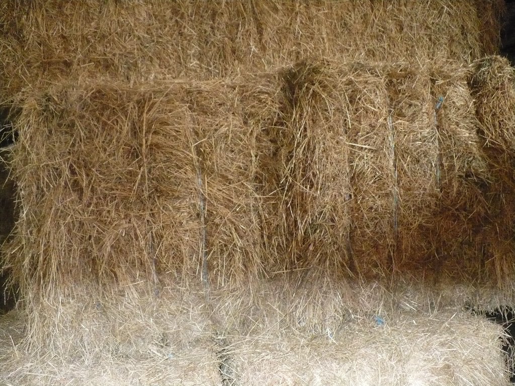 Droog hooi, Zakelijke goederen, Landbouw | Veevoer, Ophalen