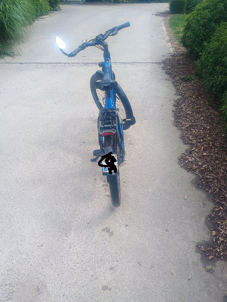 Sparta d-burst speedelec, Enlèvement, Utilisé, 30 à 50 km par batterie, 51 à 55 cm