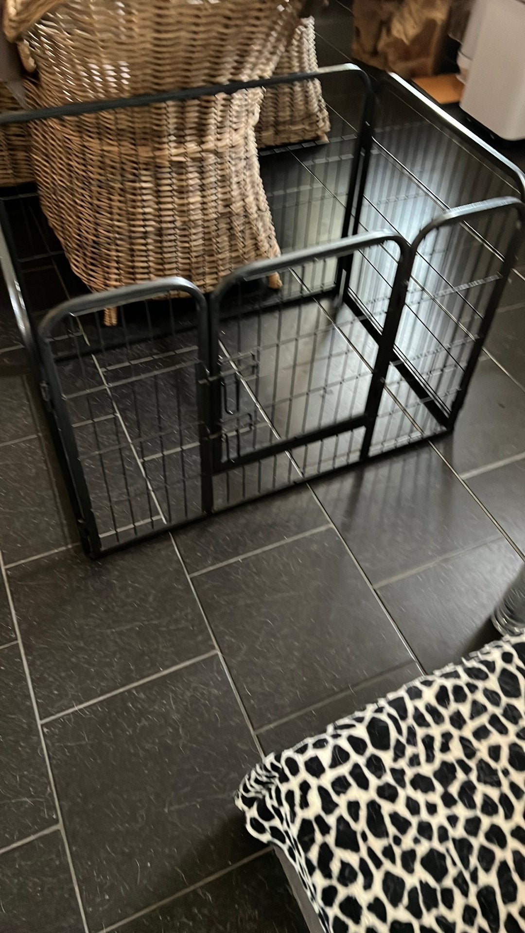 Hondenren, Dieren en Toebehoren, Ophalen, Zo goed als nieuw
